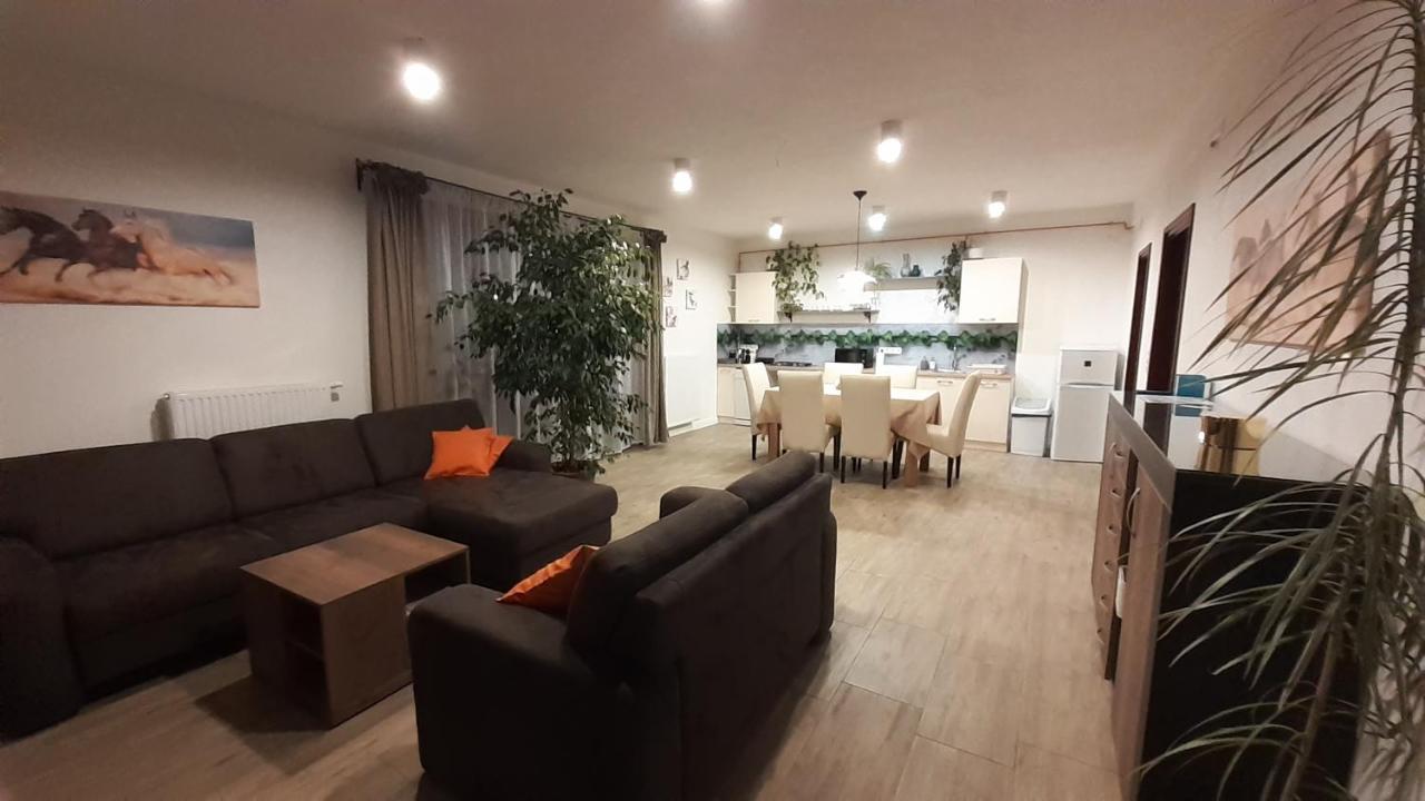 Bíbic Apartman A Kapolnasnyek Exterior foto