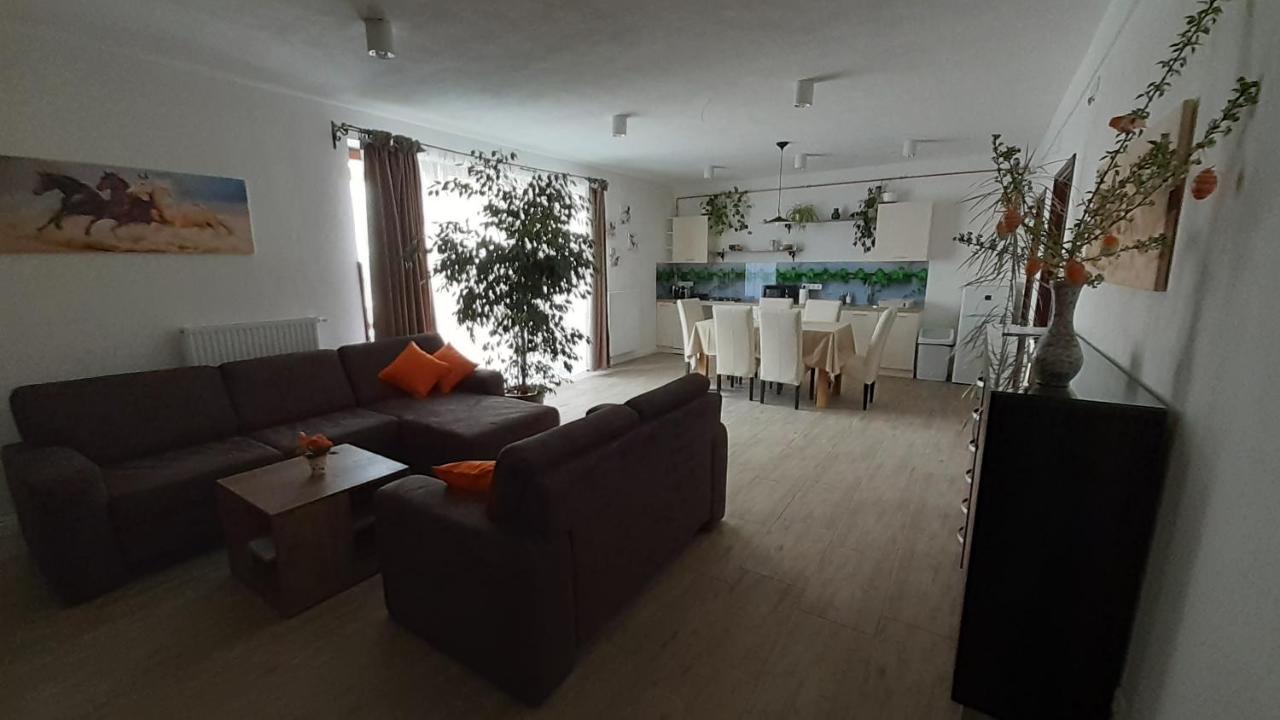 Bíbic Apartman A Kapolnasnyek Exterior foto